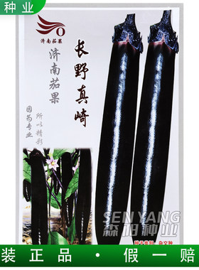 济南茄果长野真崎杂交茄子种子