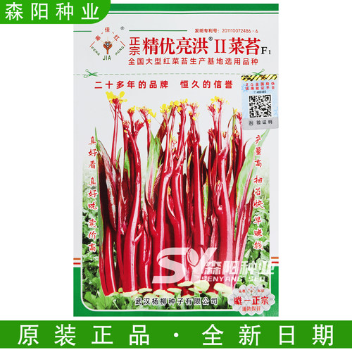 丰佳红2号红菜苔种子早熟高产
