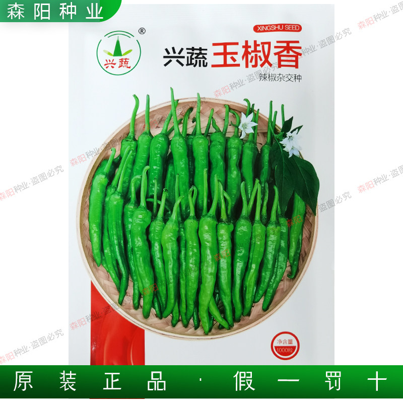 兴蔬玉椒香杂交辣椒种子早熟软皮尖椒微辣薄皮樟树港辣椒湘研55号
