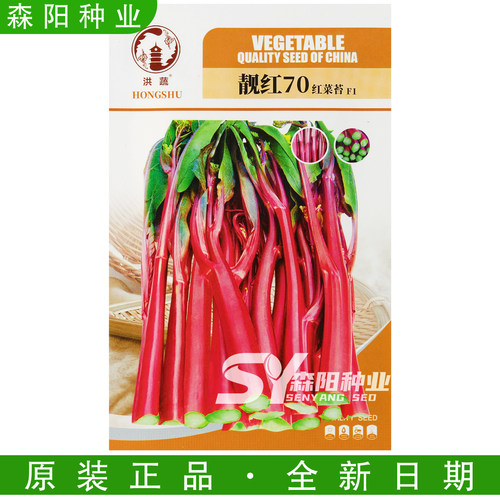 洪蔬靓红70红菜苔种子70天早中熟