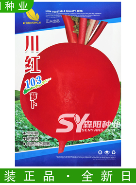 正兴川红103萝卜种子早中熟耐寒高产红皮白肉红色圆萝卜泡菜萝卜