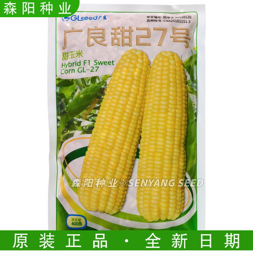 广良甜27号国审甜玉米种子