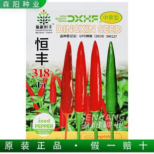 鼎新恒丰318中熟单生朝天椒特辣干鲜两用小米椒小尖椒艳椒485天剑