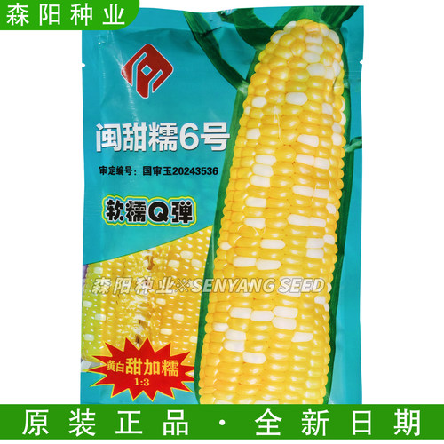 永富闽甜糯6号黄白双色甜糯种子