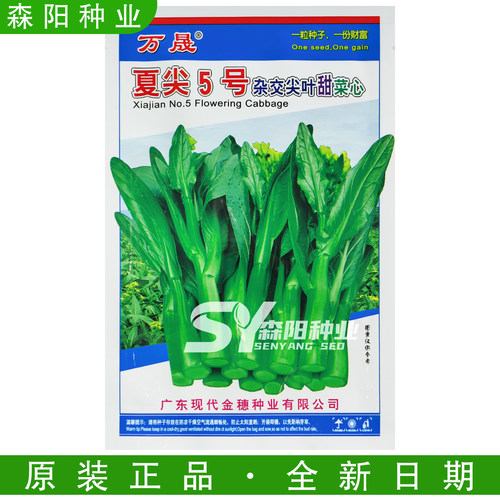 万晟夏尖5号杂交菜心种子耐热