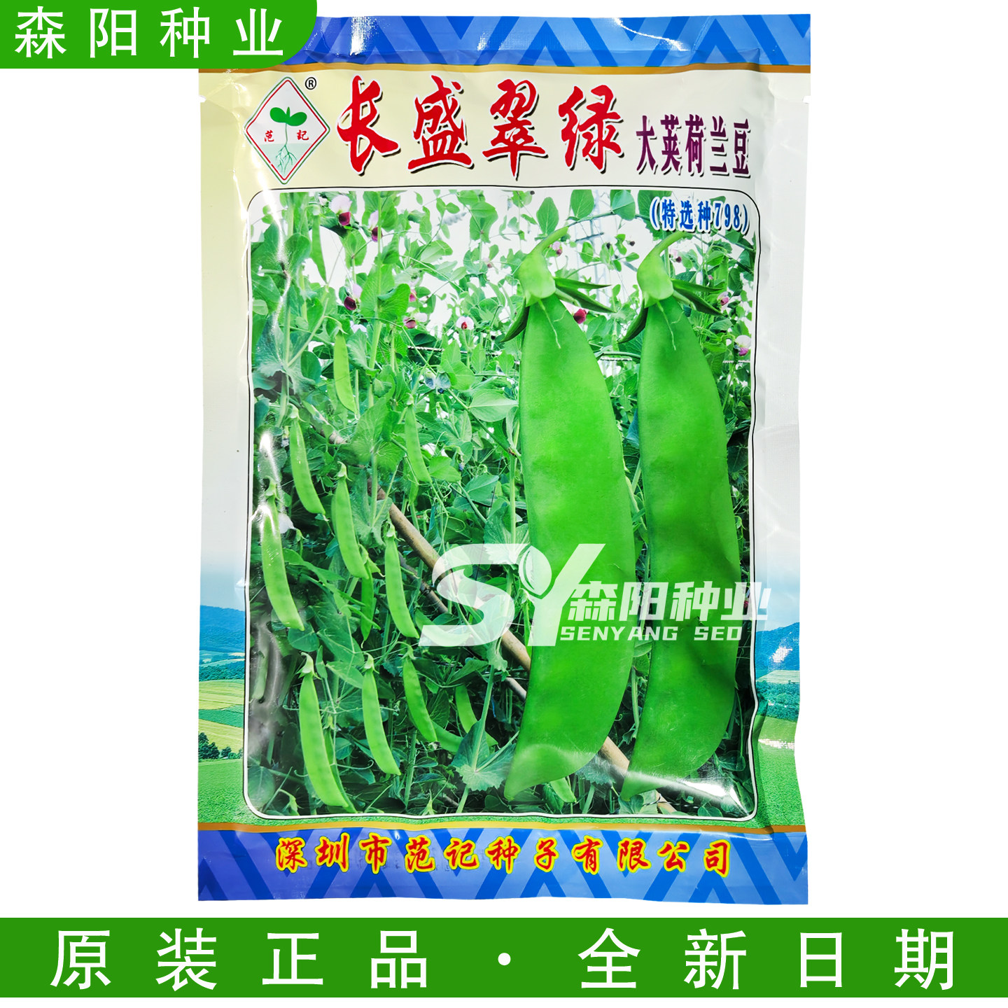 范记长盛特选荷兰豆种子中早熟图片