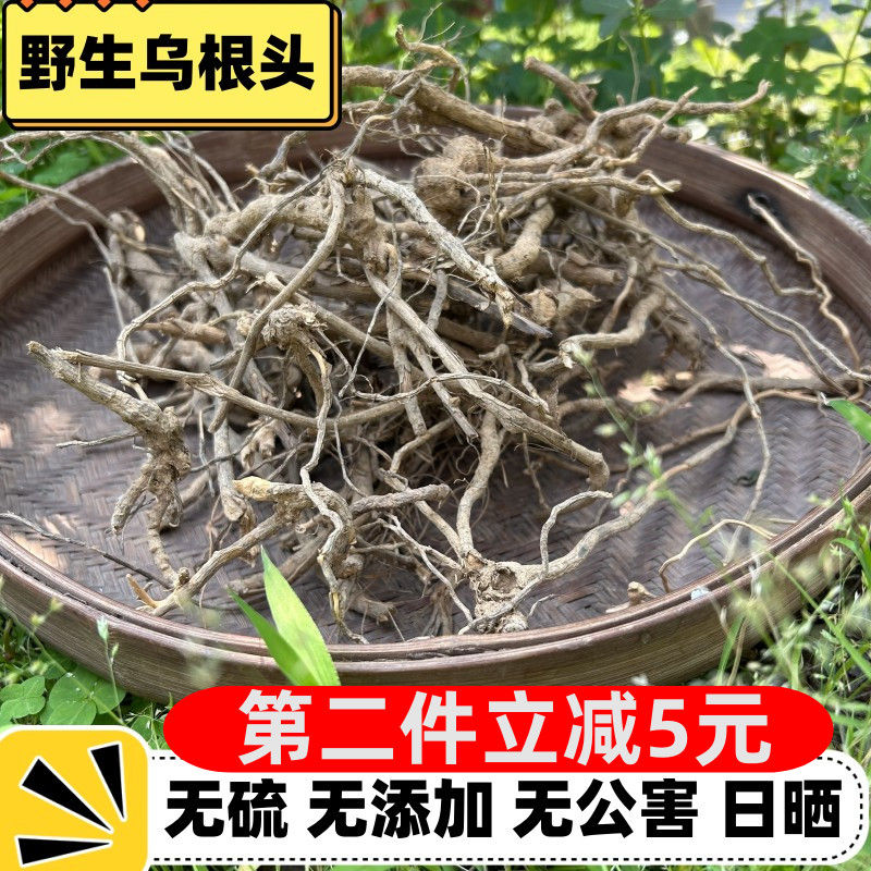 福建煲汤包正宗老根五指毛桃野生