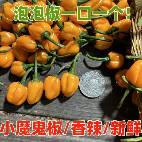 鲜香辣永安黄椒巴溪湾超辣辣椒酱