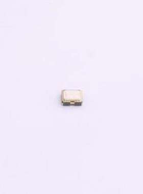 1521H-32K768AWVDZSL 有源晶振 32.768KHZ HCMOS 1.8~3.3V ±10PP