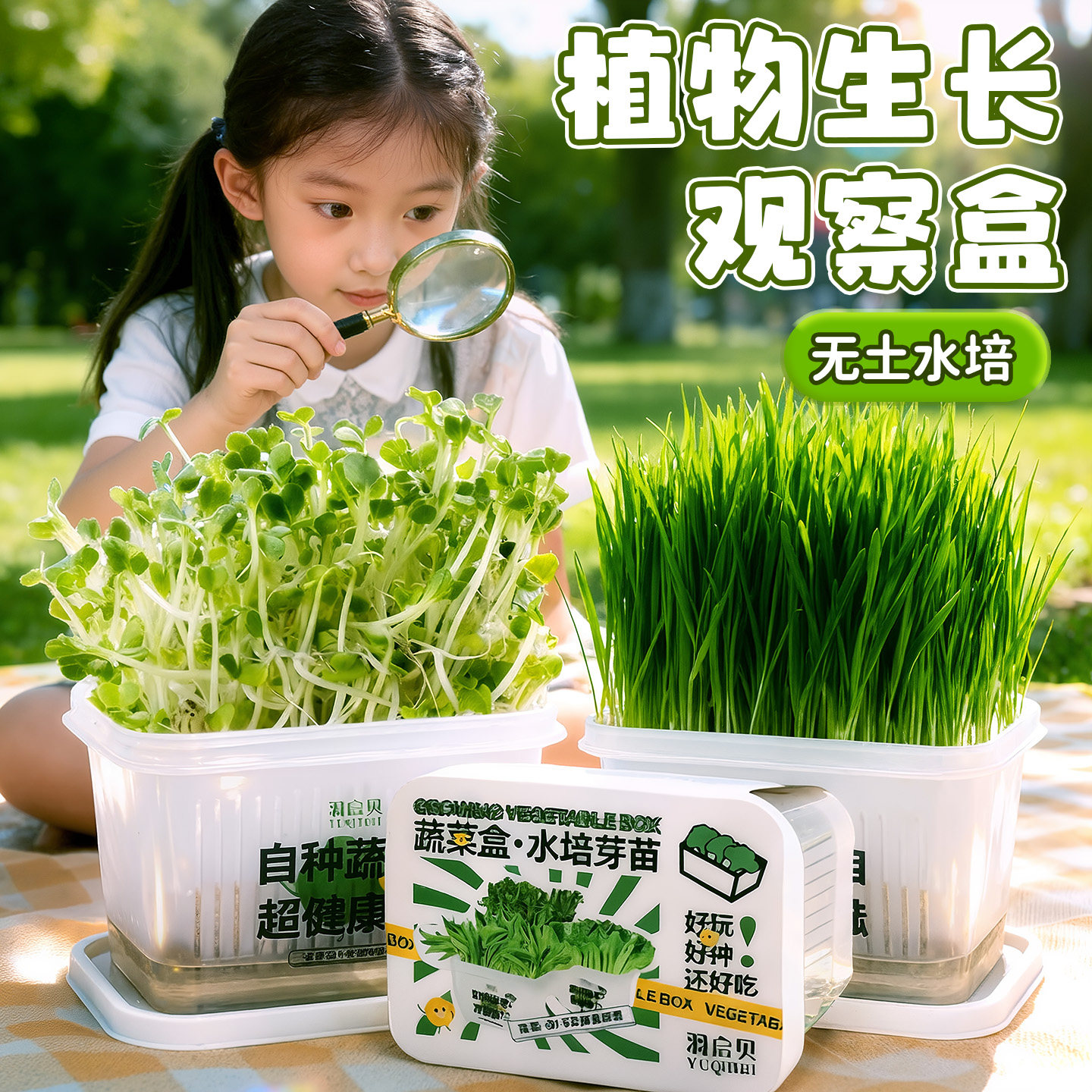 小学生儿童植物观察盒绿豆发芽实验材料包生长种植日记水培盆栽