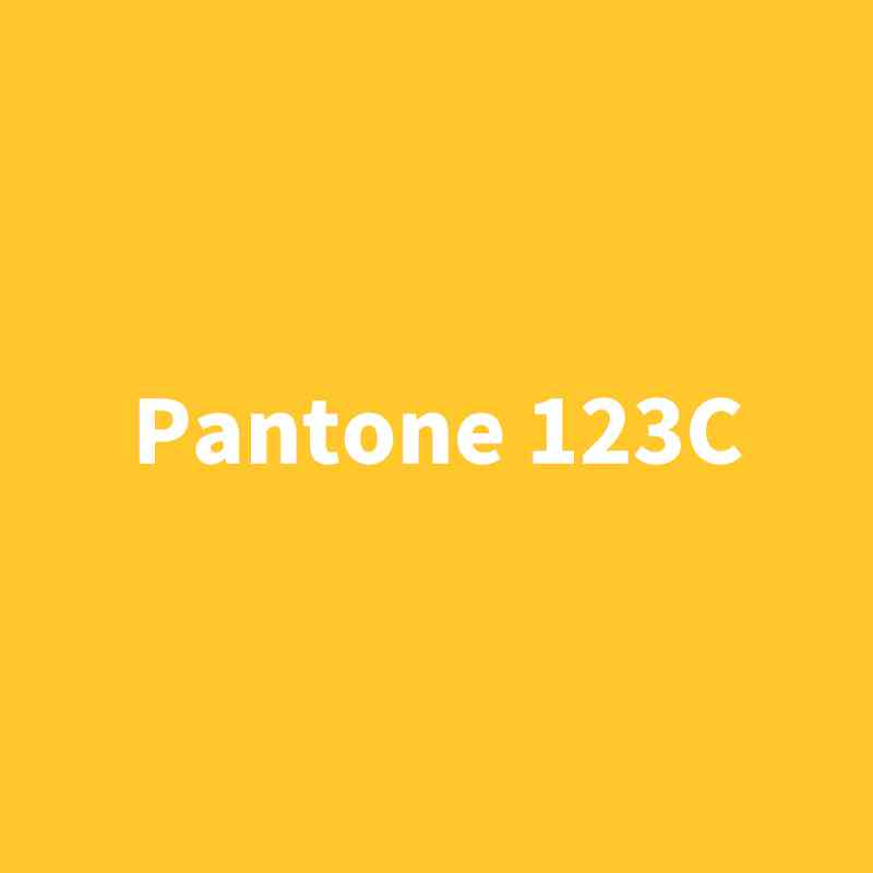 潘通系列自喷漆Pantone 123C1235C124C 明亮黄色橘黄暗黄色