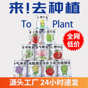 儿童植物种植小盆栽创意绿植幼儿园学生桌面迷你栽培植物罐头情绪