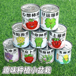 幼儿园儿童礼物小学生植物罐头伴手礼种植盆栽绿种子盲盒奖励品