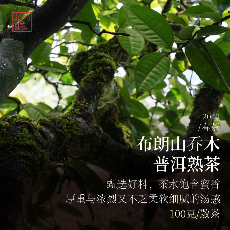 2020布朗山乔木普洱熟茶 100g