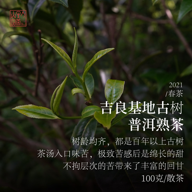 2021吉良基地古树熟茶 100g