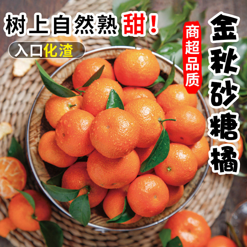 正宗广西金秋砂糖橘纯甜不酸