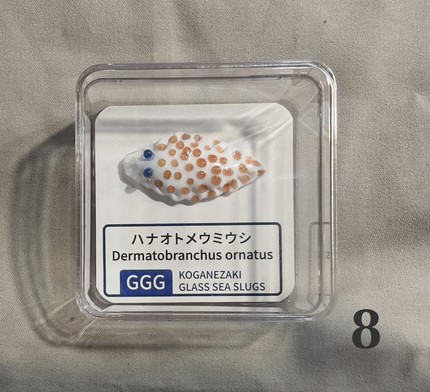 国内做的手工琉璃海兔，外贸版。说明里有详细介绍
