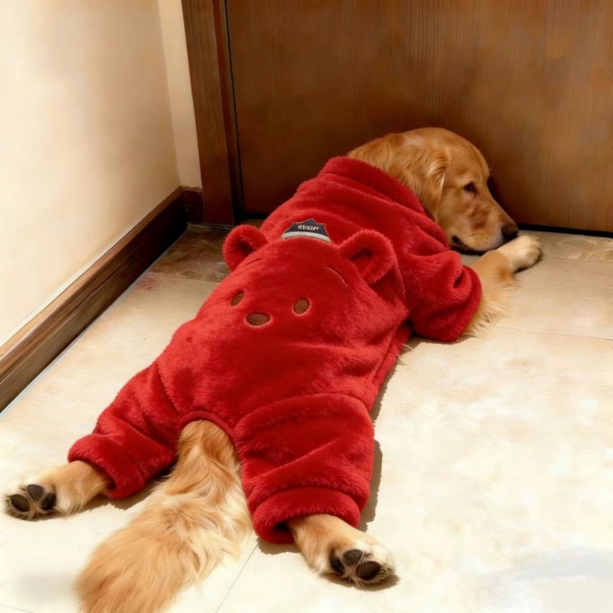 狗狗大红衣服过年喜庆拉