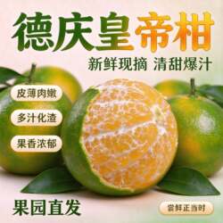 正宗皇帝柑当季新鲜德庆贡柑沃橘丑蜜桔子水果整箱广东5/10斤砂糖