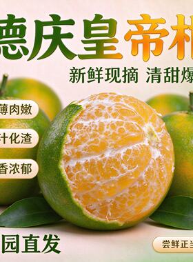 广东德庆皇帝柑当季新鲜水果整箱