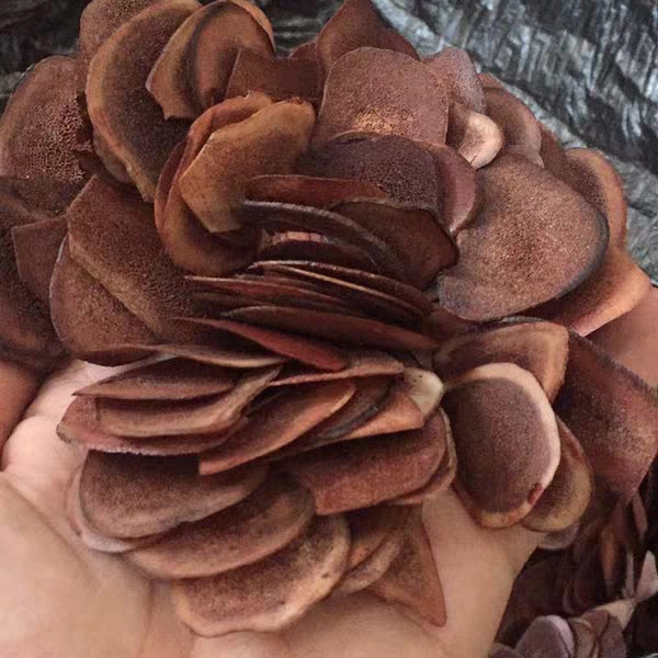 吉林梅花鹿茸片20克骨片滋补男性