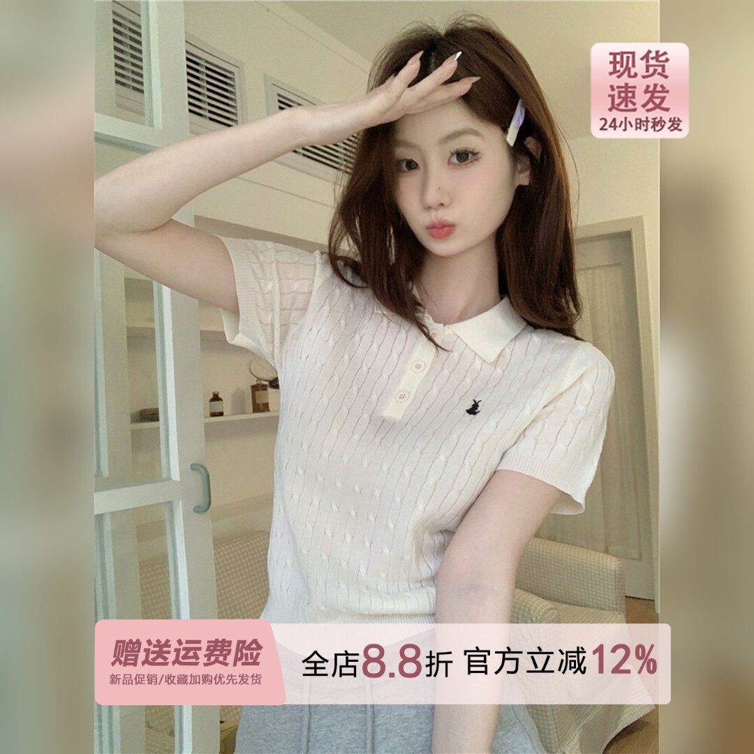 韩系麻花Polo领冰丝透气针织短袖女夏季设计感翻领薄款刺绣短上衣
