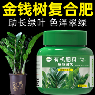 金钱树肥料专用肥摇钱树叶面肥营养液发财树盆栽复合家用有机花肥