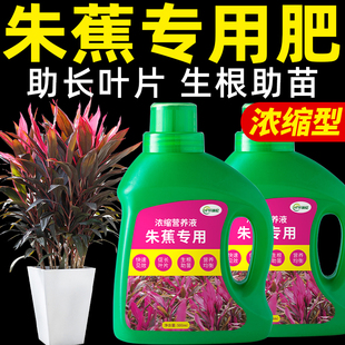 朱蕉肥料红叶朱蕉朱竹专用肥家用室内阳台盆栽植物有机复合颗粒肥