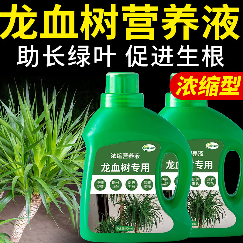 龙血树专用肥料龙须树浓缩营养液盆栽植物复合肥室内观叶绿植花肥