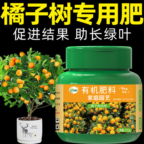 橘子树专用肥桔子树金桔有机肥料