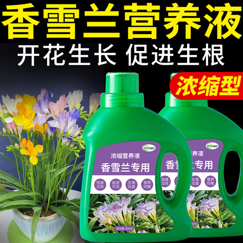 香雪兰专用肥小苍兰肥料复合营养液园艺盆栽花卉绿植开花有机花肥