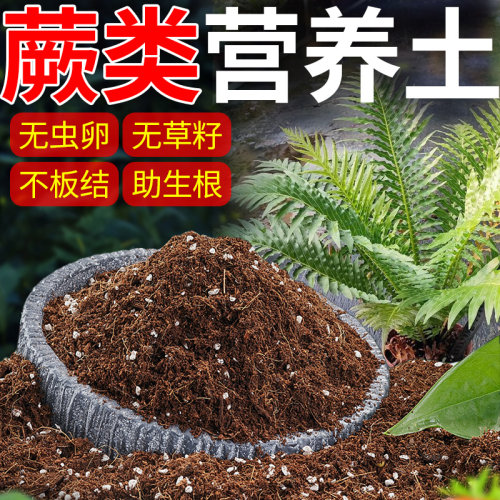蕨类植物专用土盆栽园艺营养土铁线蕨霸王蕨鹿角蕨狼尾蕨有机土壤
