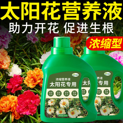 太阳花专用肥大叶太阳花肥料花肥盆栽催花开花园艺复合浓缩营养液
