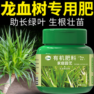 龙血树专用肥料有机缓释肥复合龙须树盆栽营养液绿植室内观叶植物