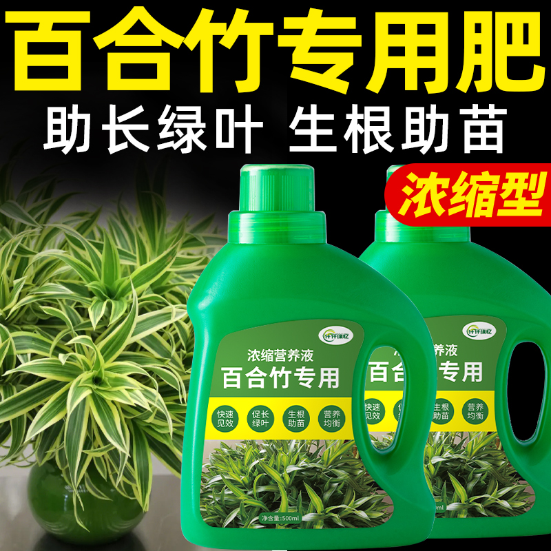 百合竹肥料专用肥植物营养液金边百合竹水溶花卉观叶绿植室内盆栽