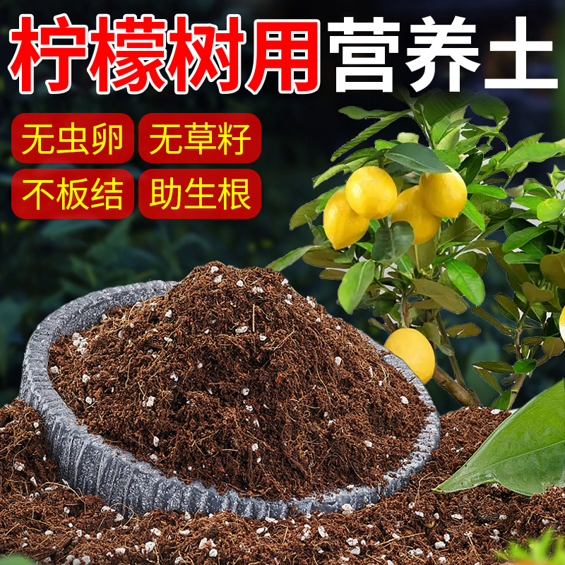 柠檬树专用土香水柠檬营养土地栽树苗果树用花土有机种植泥炭土壤