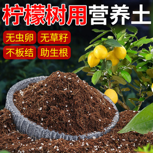 柠檬树专用土香水柠檬营养土地栽树苗果树用花土有机种植泥炭土壤