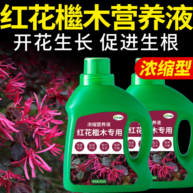 红花檵木专用肥料红梽木肥红桎花红花继木营养液盆栽复合肥丹东红