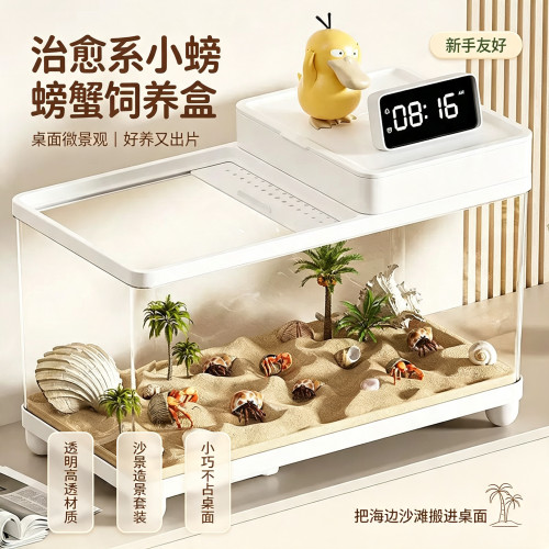 寄居蟹饲养箱生态缸造景小型别墅