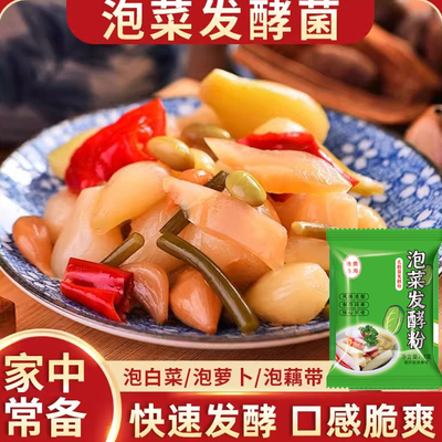 乳酸菌发酵粉四川泡菜发酵菌