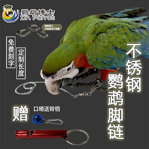 鹦鹉脚环脚链不锈钢鸟链子鸟用品
