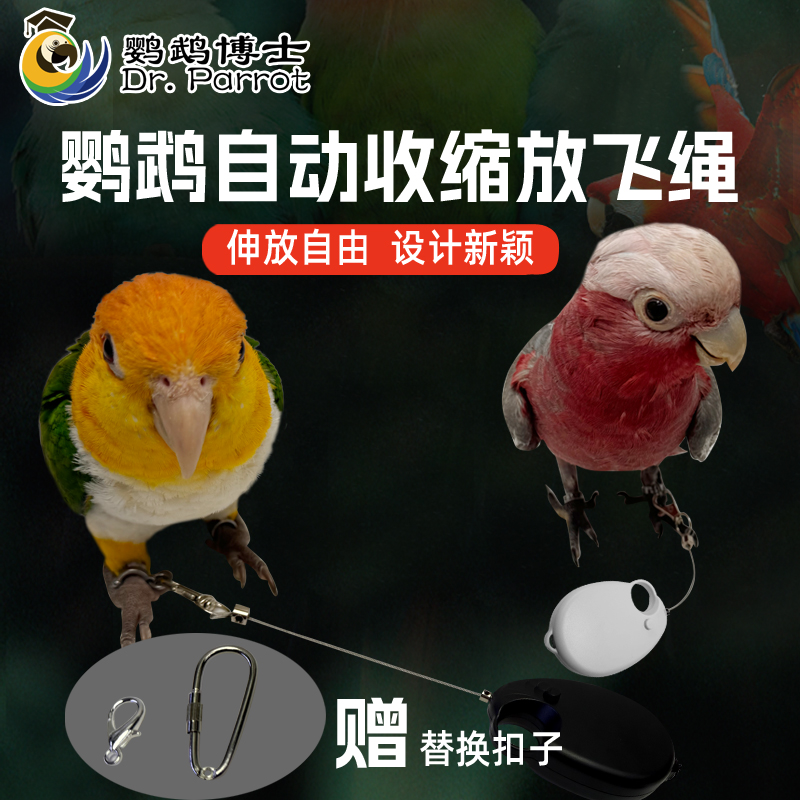 鹦鹉放飞绳不伤脚超轻训练遛鸟绳