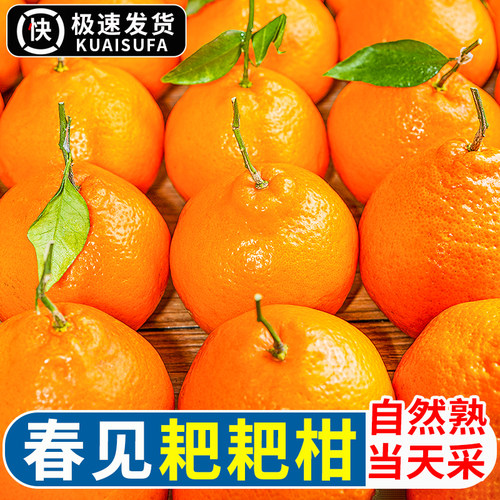 御品一园四川春见耙耙柑