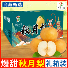 正宗山东莱阳秋月梨梨子5斤新鲜水果当季黄花脆甜大雪梨整箱包邮