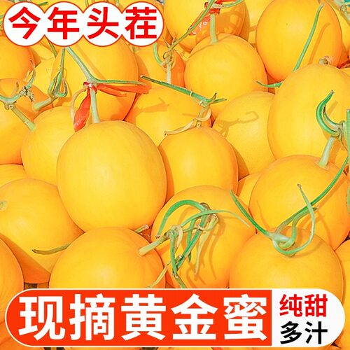 黄金甜瓜水果新鲜当季5斤整箱