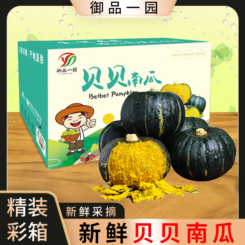 御品一园贝贝南瓜新鲜采摘