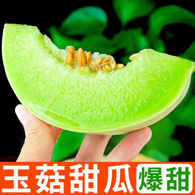 御品一园新鲜玉菇甜瓜