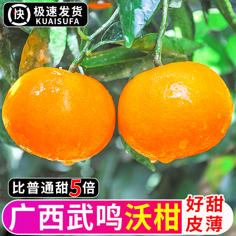 正宗广西武鸣沃柑10斤水果新鲜当季整箱一级沙糖蜜橘砂糖柑桔橘子