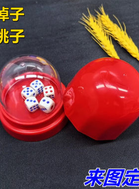 骰子骰盅套装筛盅带透明罩色盅