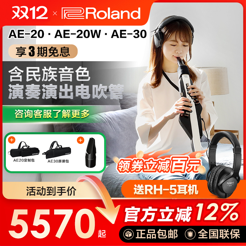 罗兰电吹管含民族音色ae20ae30